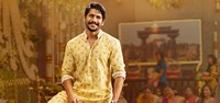 Sailaja Reddy Alludu Movie Gallery